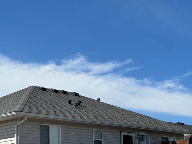 Fast & Reliable Emergency Roof Repairs in Columbus, WI